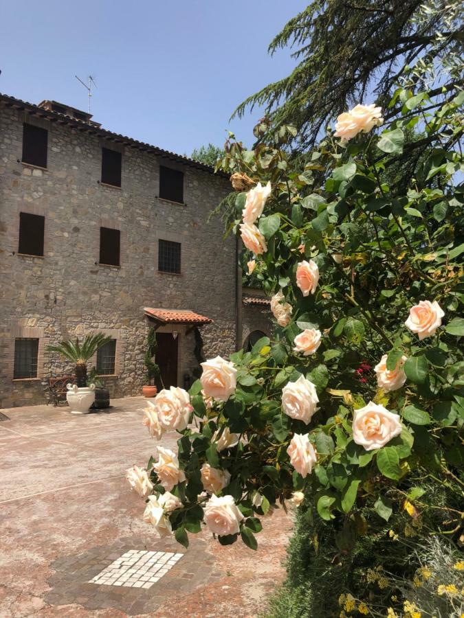 Agriturismo Beata Vanna Fabro Exteriör bild